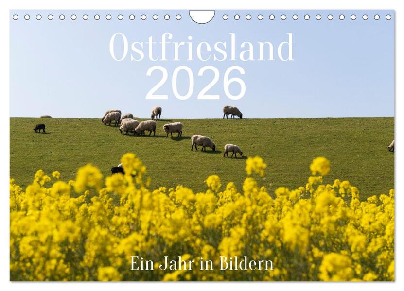 Produktbild: Ostfriesland - Ein Jahr in Bildern (Wandkalender 2026 DIN A4 quer), CALVENDO Monatskalender | Heidi Bollich, Calvendo