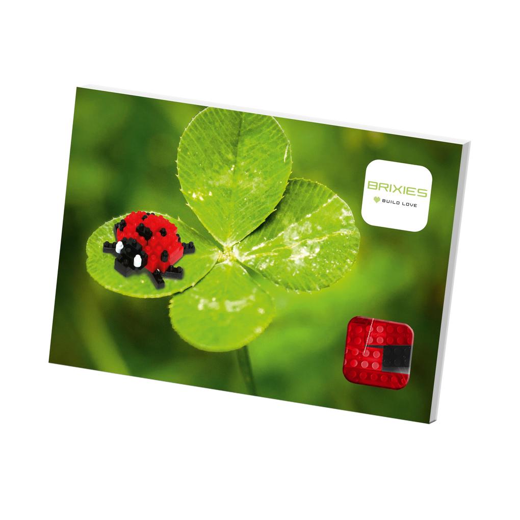 Produktbild: Brixies - Karte Marienkäfer