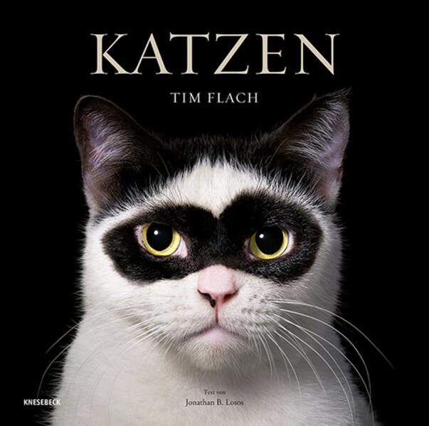 Produktbild: Katzen | Tim Flach