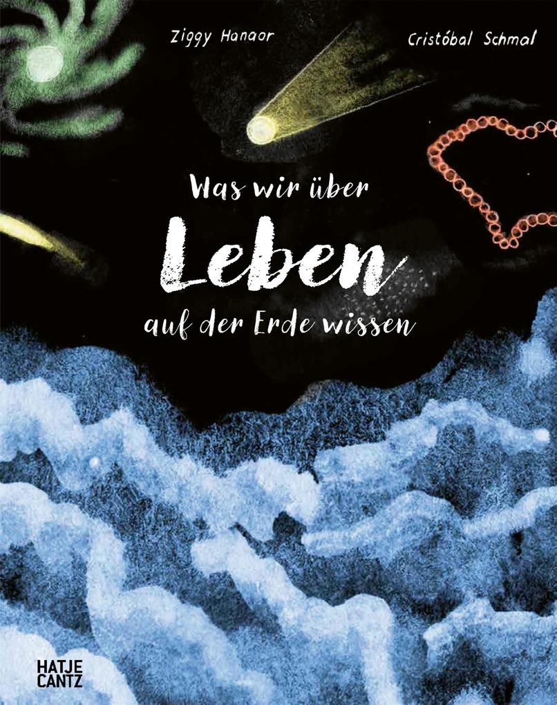 Produktbild: Was wir über Leben auf der Erde wissen. Urknall, Weltall und wir alle. | Ziggy Hanaor