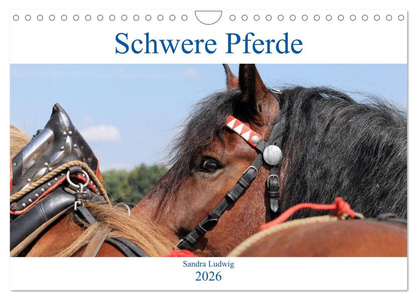 Produktbild: Schwere Pferde 2026 (Wandkalender 2026 DIN A4 quer), CALVENDO Monatskalender | Sandra Ludwig, Calvendo