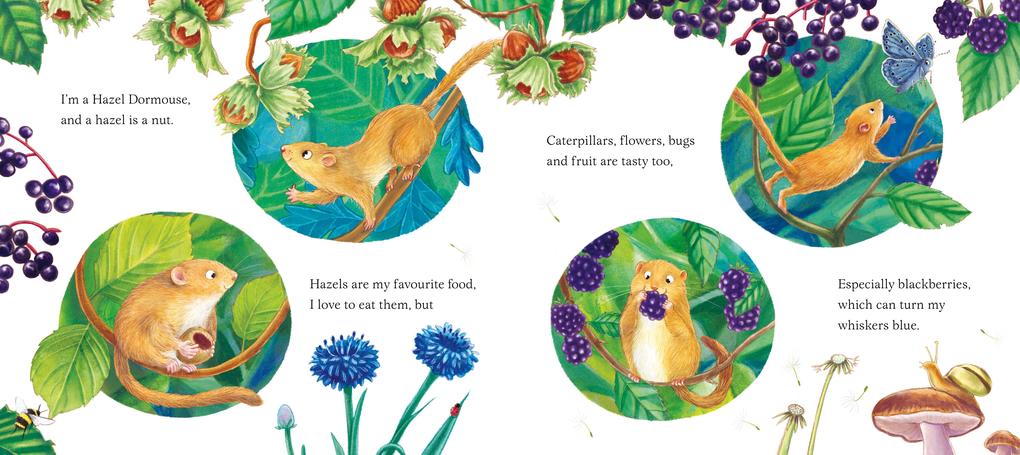 Weitere Ansicht: I am Dandy the Dormouse | Pam Ayres