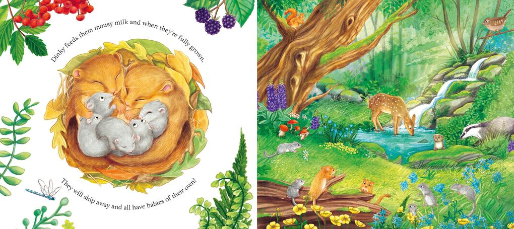 Weitere Ansicht: I am Dandy the Dormouse | Pam Ayres