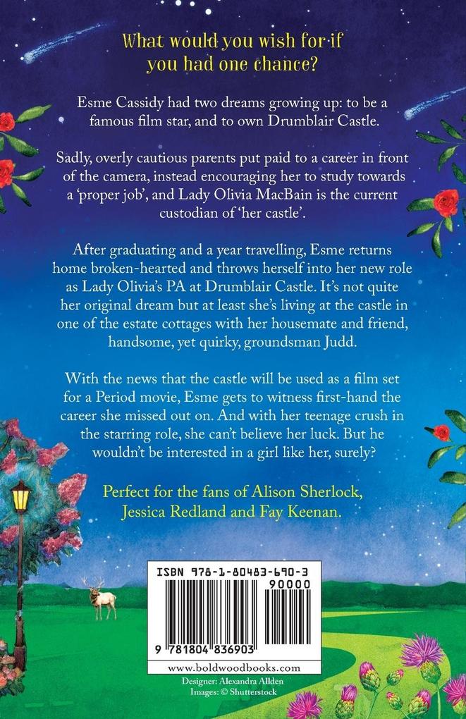 Weitere Ansicht: Shooting Stars Over the Highlands | Lisa Hobman