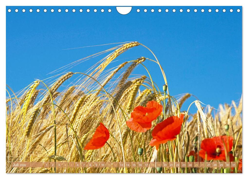 Weitere Ansicht: Whisky: Reine Geschmacksache (Wandkalender 2026 DIN A4 quer), CALVENDO Monatskalender | Calvendo, CALVENDO CALVENDO