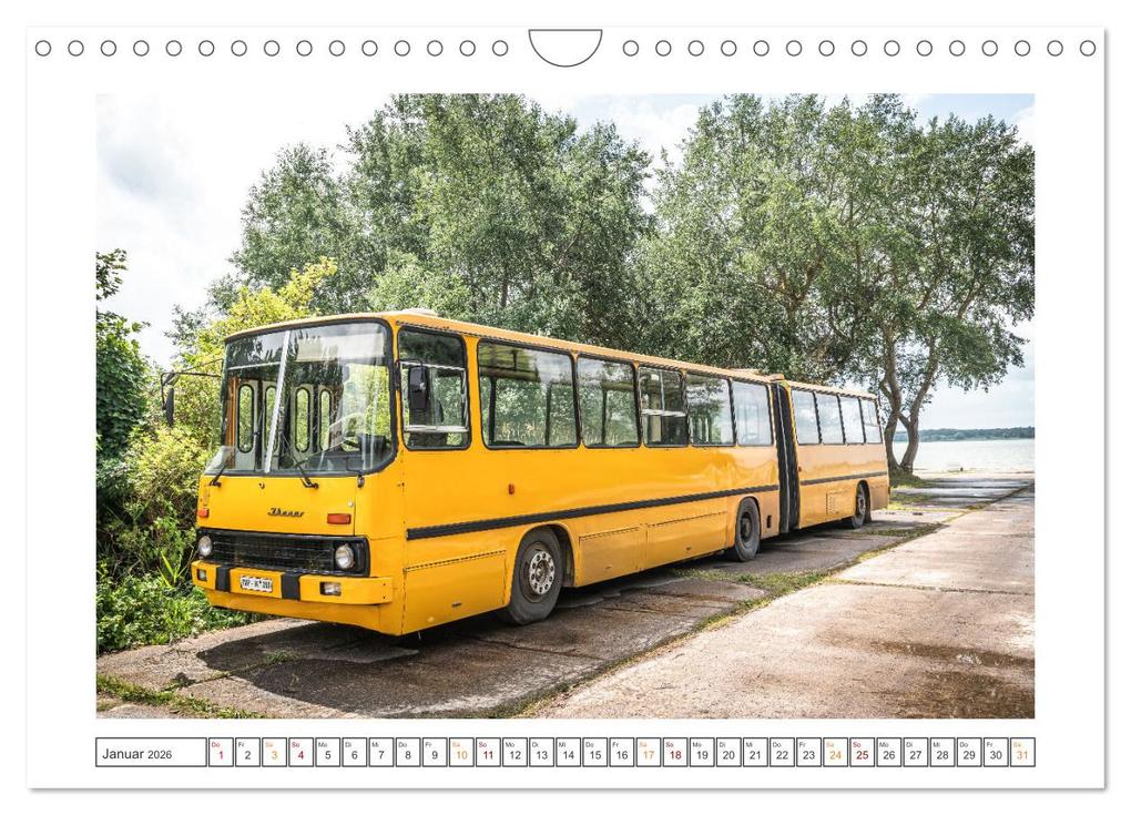 Weitere Ansicht: Technik-Museum Pütnitz (Wandkalender 2026 DIN A4 quer), CALVENDO Monatskalender | Calvendo, Technikverein Pütnitz e.V.; Technik-Museum Pütnitz ; Steffen Gierok-Latniak, Pütnitz e. V., Technik-Museum Pütnitz, Technikverein Steffen Gierok-Latniak