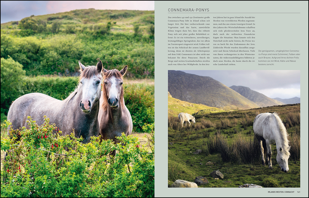 Weitere Ansicht: KUNTH Irland. Das Buch | Cornelia Hammelmann, Anke Benstem, Robert Fischer, Stefan Jordan, Gerhard von Kapff
