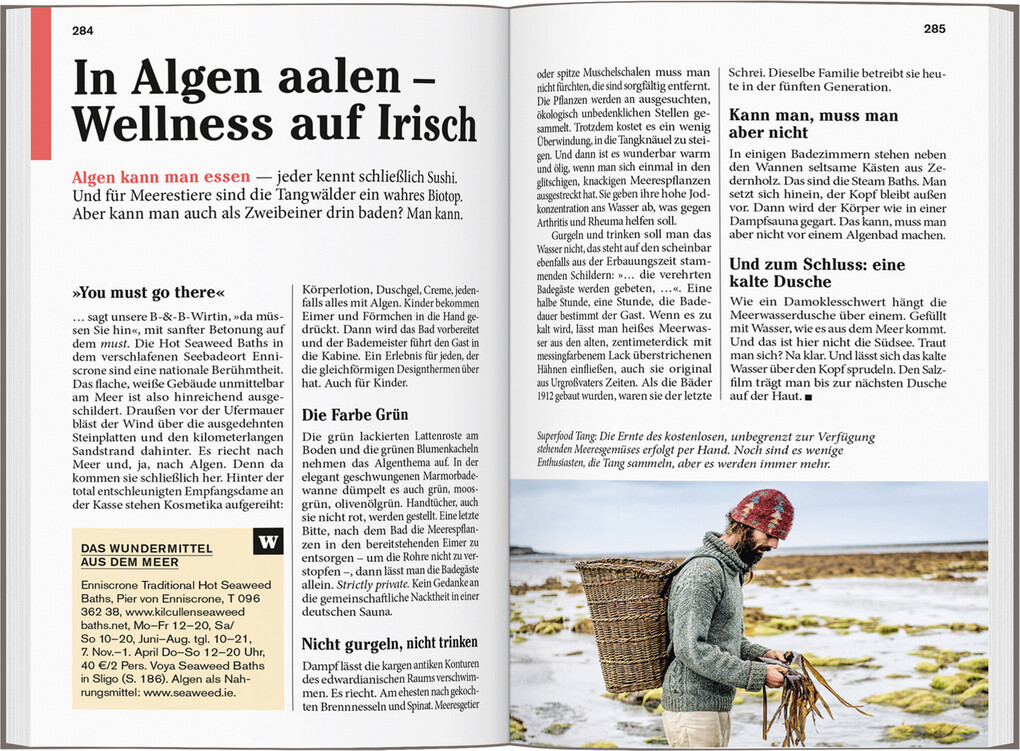 Weitere Ansicht: DUMONT Reise-Taschenbuch Reiseführer Irland, Nordirland | Susanne Tschirner