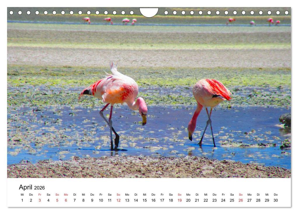 Weitere Ansicht: Südamerika - Vom Reich der Inka bis nach Patagonien (Wandkalender 2026 DIN A4 quer), CALVENDO Monatskalender | Piera Marlena Büchler, Calvendo