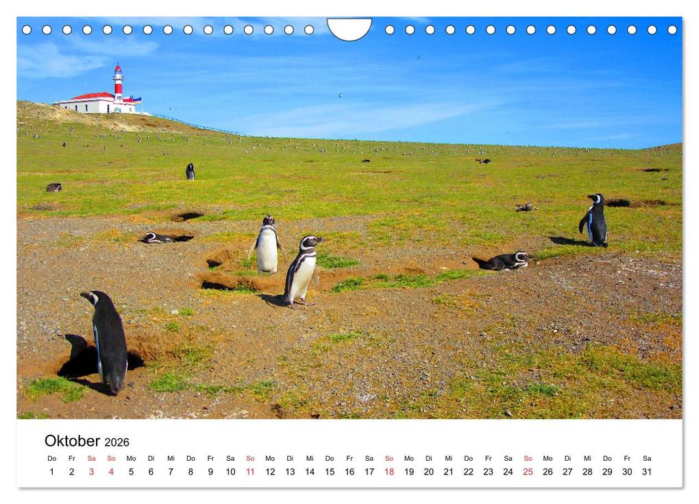 Weitere Ansicht: Südamerika - Vom Reich der Inka bis nach Patagonien (Wandkalender 2026 DIN A4 quer), CALVENDO Monatskalender | Piera Marlena Büchler, Calvendo