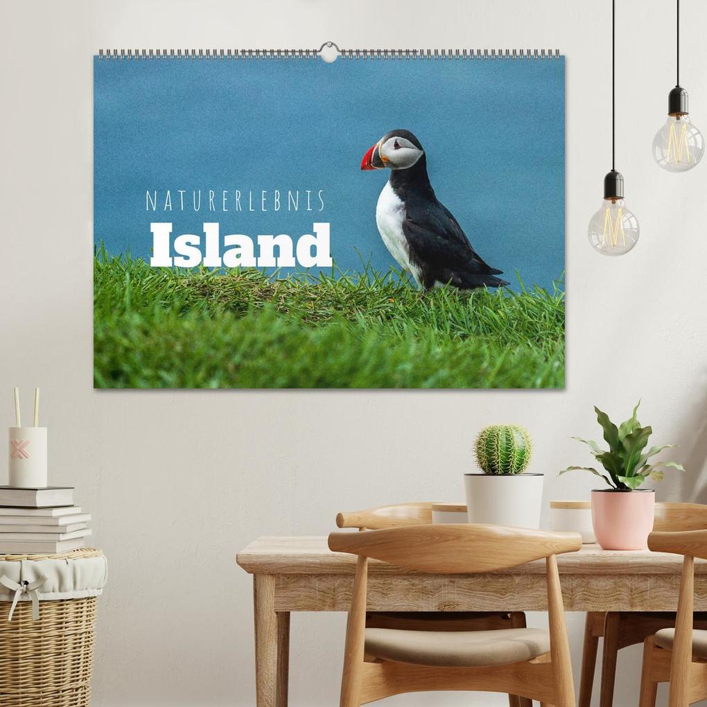 Weitere Ansicht: Naturerlebnis Island (Wandkalender 2026 DIN A2 quer), CALVENDO Monatskalender | Thomas Holtgräwe, Calvendo