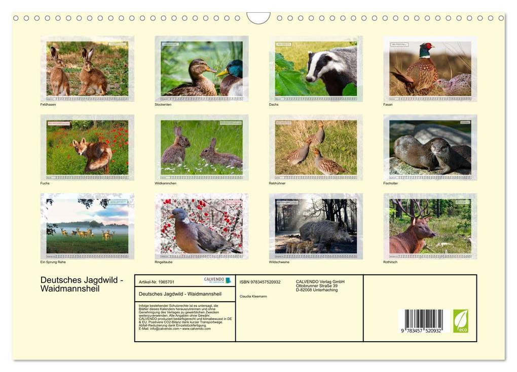 Weitere Ansicht: Deutsches Jagdwild - Waidmannsheil (Wandkalender 2026 DIN A3 quer), CALVENDO Monatskalender | Claudia Kleemann, Calvendo