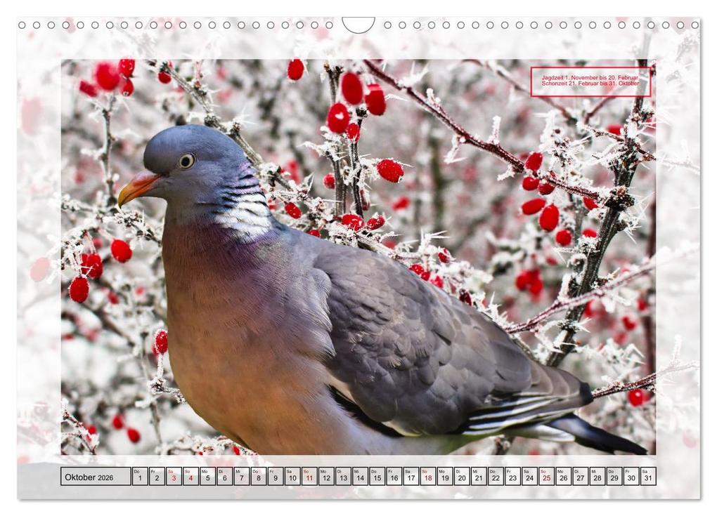 Weitere Ansicht: Deutsches Jagdwild - Waidmannsheil (Wandkalender 2026 DIN A3 quer), CALVENDO Monatskalender | Claudia Kleemann, Calvendo