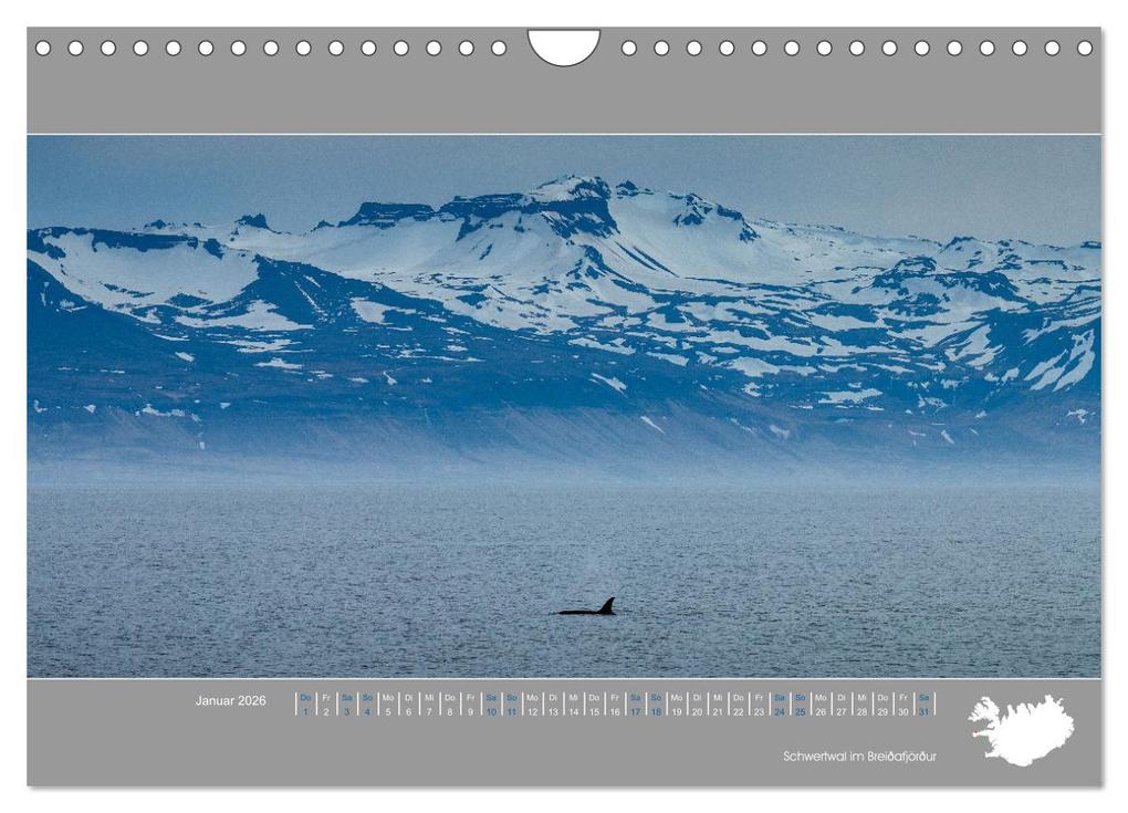 Weitere Ansicht: Naturerlebnis Island (Wandkalender 2026 DIN A4 quer), CALVENDO Monatskalender | Thomas Holtgräwe, Calvendo