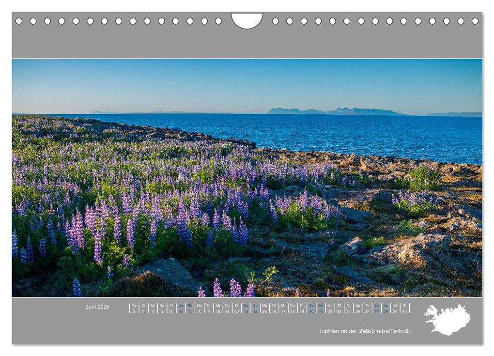 Weitere Ansicht: Naturerlebnis Island (Wandkalender 2026 DIN A4 quer), CALVENDO Monatskalender | Thomas Holtgräwe, Calvendo
