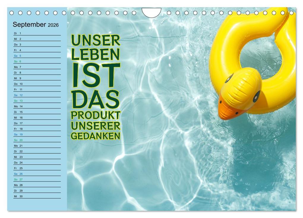 Weitere Ansicht: Wassersport - Schwimmen und SUP mit coolen Sprüchen (Wandkalender 2026 DIN A4 quer), CALVENDO Monatskalender | Susan Michel, Calvendo