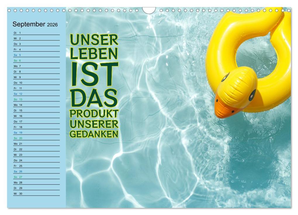 Weitere Ansicht: Wassersport - Schwimmen und SUP mit coolen Sprüchen (Wandkalender 2026 DIN A3 quer), CALVENDO Monatskalender | Susan Michel, Calvendo