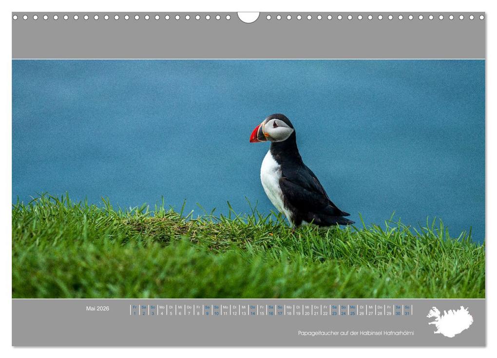 Weitere Ansicht: Naturerlebnis Island (Wandkalender 2026 DIN A3 quer), CALVENDO Monatskalender | Thomas Holtgräwe, Calvendo