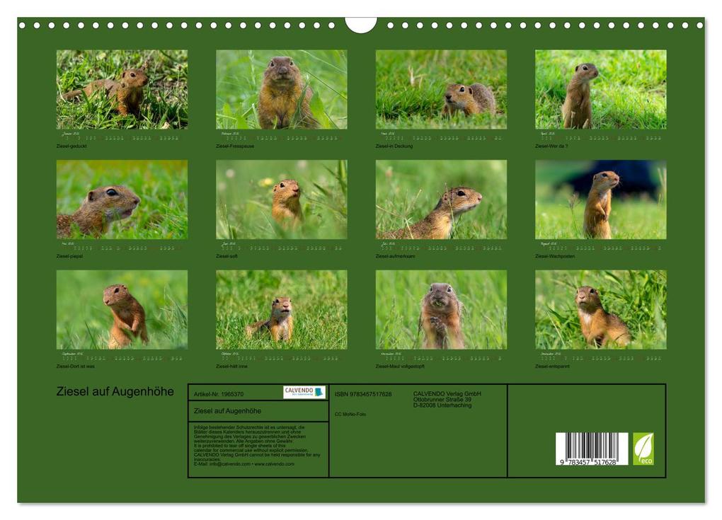Weitere Ansicht: Ziesel auf Augenhöhe (Wandkalender 2026 DIN A3 quer), CALVENDO Monatskalender | MoNo-Foto MoNo-Foto, Calvendo, MoNo-Foto