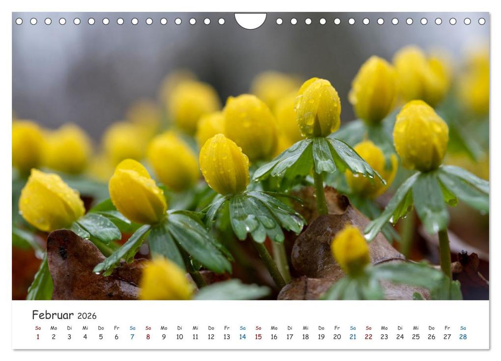 Weitere Ansicht: Typisch Magdeburg (Wandkalender 2026 DIN A4 quer), CALVENDO Monatskalender | Calvendo, Stephan Schulz