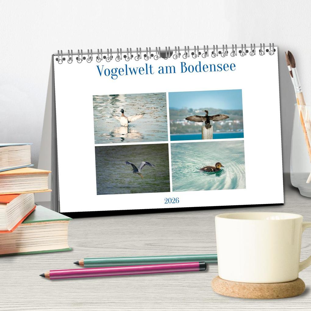 Weitere Ansicht: Vogelwelt am Bodensee 2026 (Tischkalender 2026 DIN A5 quer), CALVENDO Monatskalender | Calvendo, Ralf kaufmann Fotos