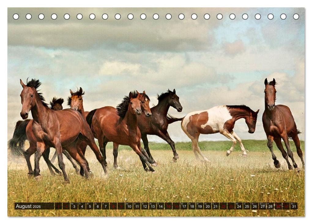 Weitere Ansicht: Pferde - wild und ungezähmt (Tischkalender 2026 DIN A5 quer), CALVENDO Monatskalender | Calvendo, Renate Utz