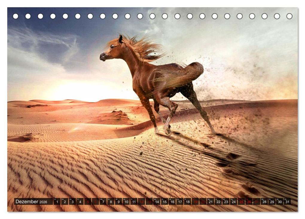 Weitere Ansicht: Pferde - wild und ungezähmt (Tischkalender 2026 DIN A5 quer), CALVENDO Monatskalender | Calvendo, Renate Utz
