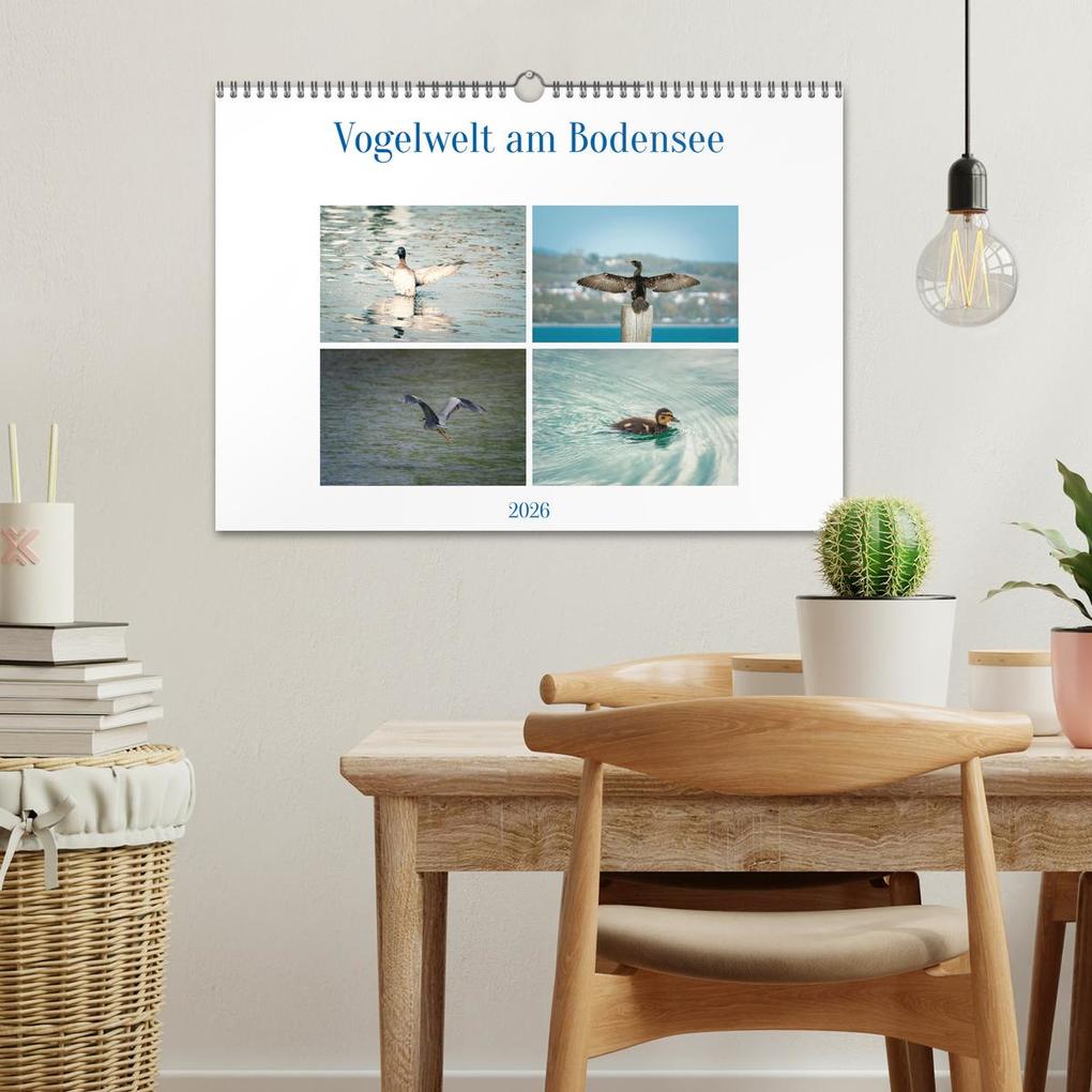 Weitere Ansicht: Vogelwelt am Bodensee 2026 (Wandkalender 2026 DIN A3 quer), CALVENDO Monatskalender | Calvendo, Ralf kaufmann Fotos