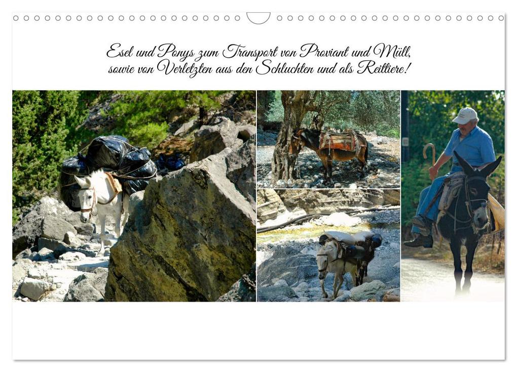 Weitere Ansicht: Typisch Kreta (Wandkalender 2026 DIN A3 quer), CALVENDO Monatskalender | Calvendo, Claudia Kleemann