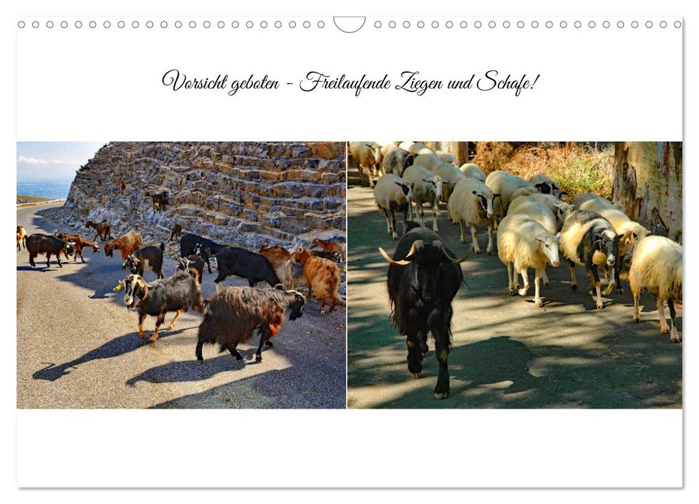 Weitere Ansicht: Typisch Kreta (Wandkalender 2026 DIN A3 quer), CALVENDO Monatskalender | Calvendo, Claudia Kleemann