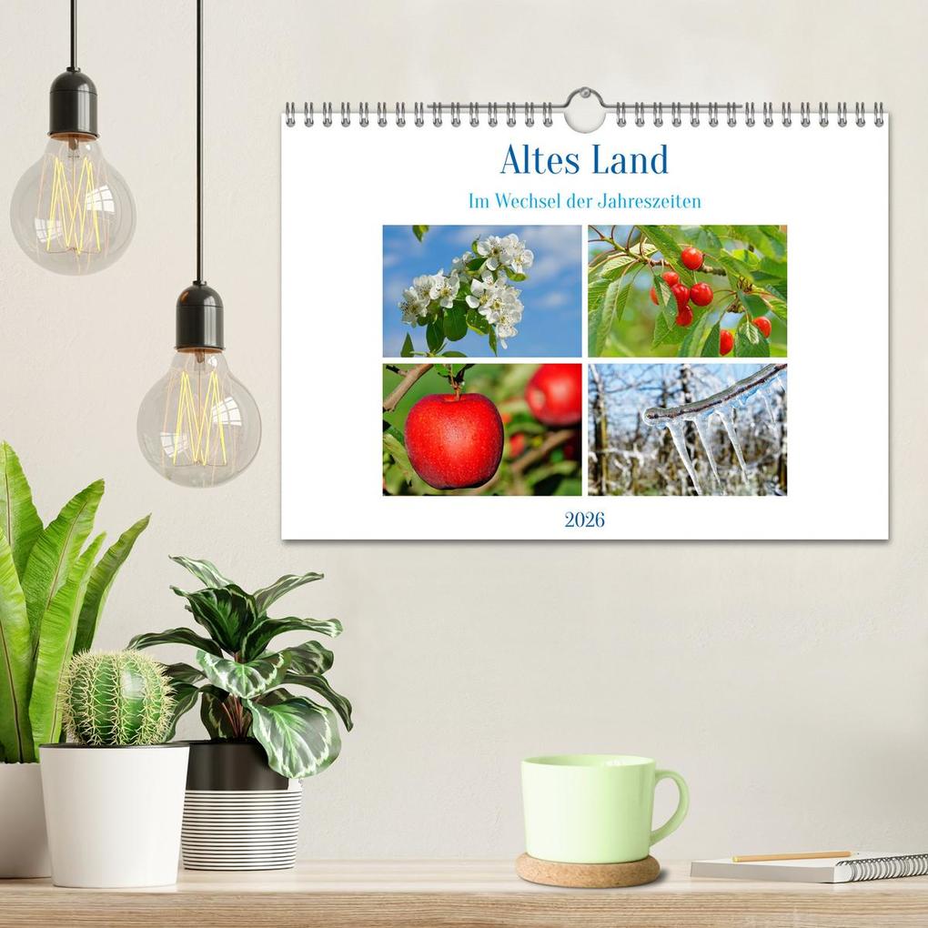 Weitere Ansicht: Altes Land im Wechsel der Jahreszeiten (Wandkalender 2026 DIN A4 quer), CALVENDO Monatskalender | Calvendo, Martina Fornal