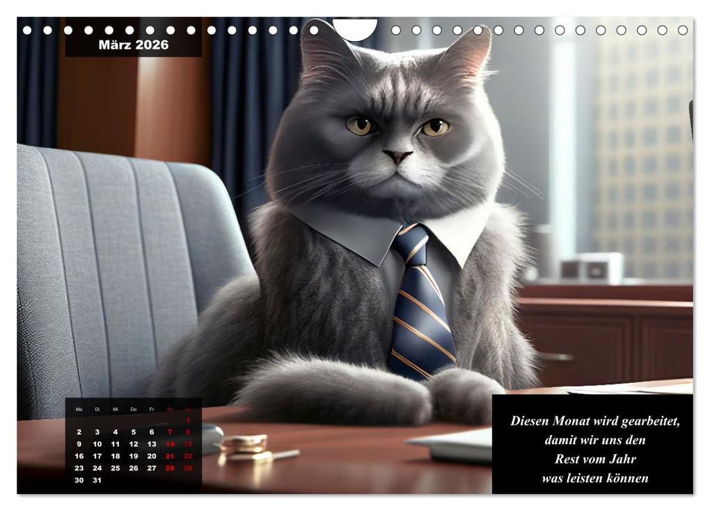 Weitere Ansicht: Der humoristische Katzen Kalender (Wandkalender 2026 DIN A4 quer), CALVENDO Monatskalender | Calvendo, Peter Rübsamen