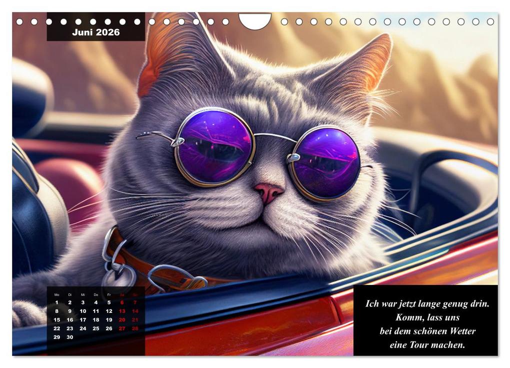 Weitere Ansicht: Der humoristische Katzen Kalender (Wandkalender 2026 DIN A4 quer), CALVENDO Monatskalender | Calvendo, Peter Rübsamen