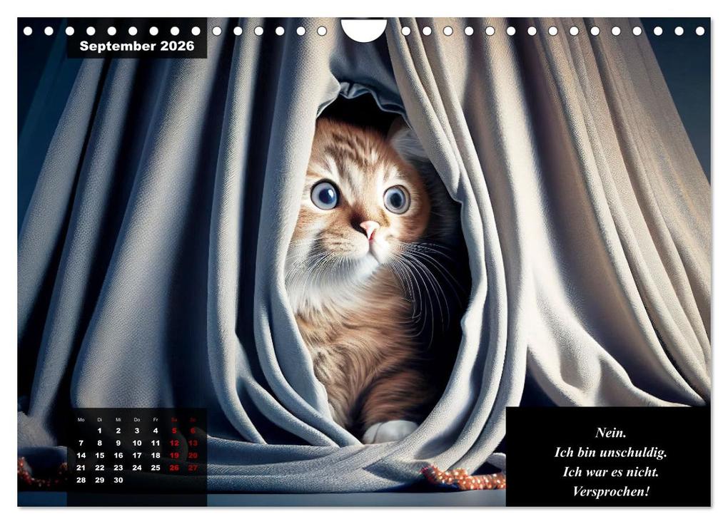 Weitere Ansicht: Der humoristische Katzen Kalender (Wandkalender 2026 DIN A4 quer), CALVENDO Monatskalender | Calvendo, Peter Rübsamen