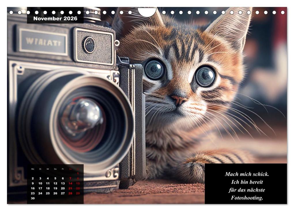Weitere Ansicht: Der humoristische Katzen Kalender (Wandkalender 2026 DIN A4 quer), CALVENDO Monatskalender | Calvendo, Peter Rübsamen