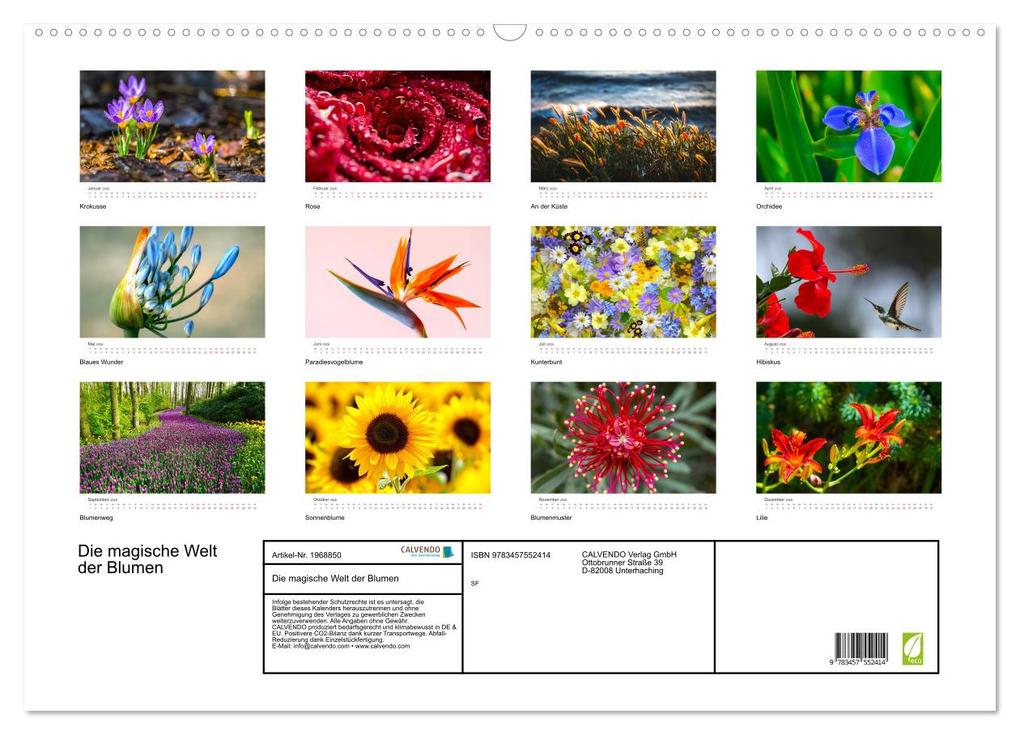 Weitere Ansicht: Die magische Welt der Blumen (Wandkalender 2026 DIN A2 quer), CALVENDO Monatskalender | SF SF, Calvendo, SF