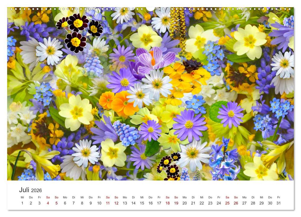 Weitere Ansicht: Die magische Welt der Blumen (Wandkalender 2026 DIN A2 quer), CALVENDO Monatskalender | SF SF, Calvendo, SF