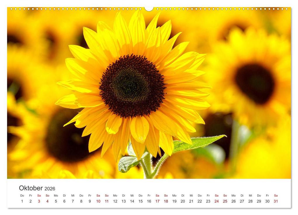 Weitere Ansicht: Die magische Welt der Blumen (Wandkalender 2026 DIN A2 quer), CALVENDO Monatskalender | SF SF, Calvendo, SF