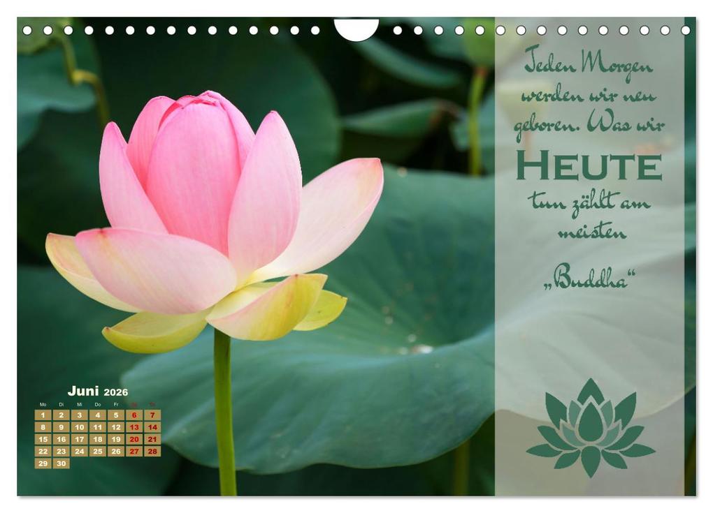 Weitere Ansicht: Erleuchtende Worte, Lebensweisheiten von Gautama Buddha by VogtArt (Wandkalender 2026 DIN A4 quer), CALVENDO Monatskalender | VogtArt VogtArt, Calvendo, VogtArt