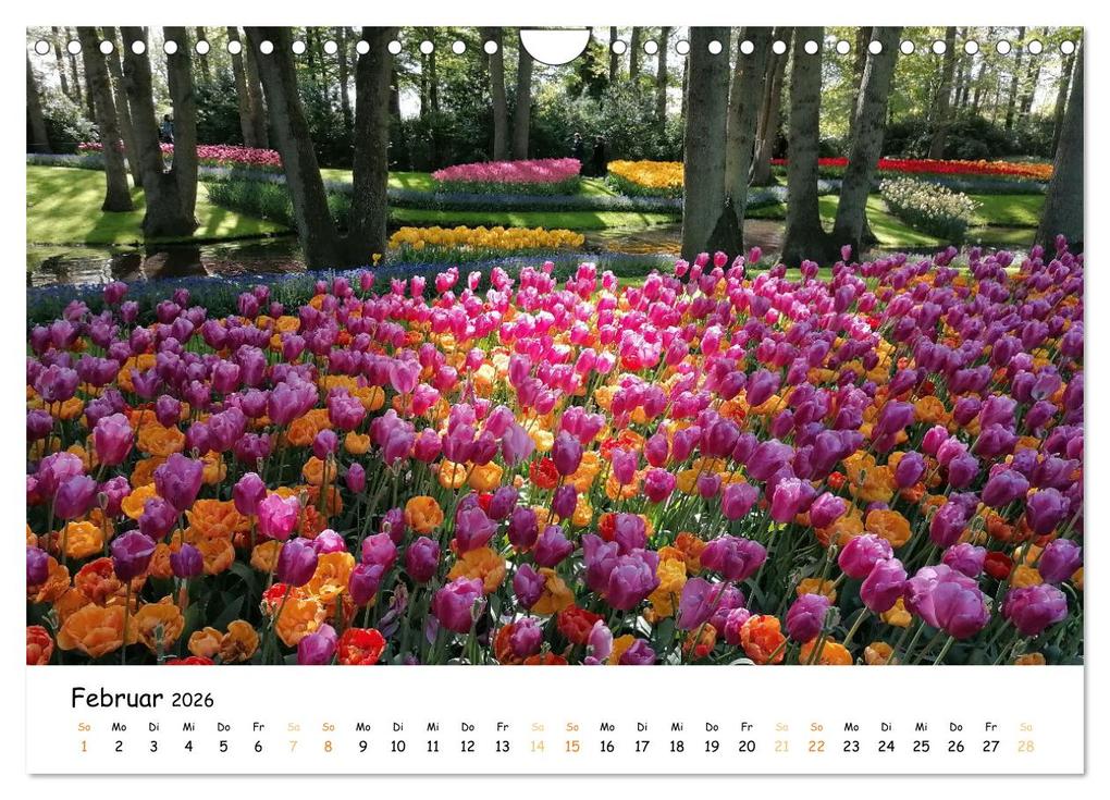 Weitere Ansicht: Auf Tour im Land der Tulpen (Wandkalender 2026 DIN A4 quer), CALVENDO Monatskalender | Sarafina Glockenblume, Calvendo