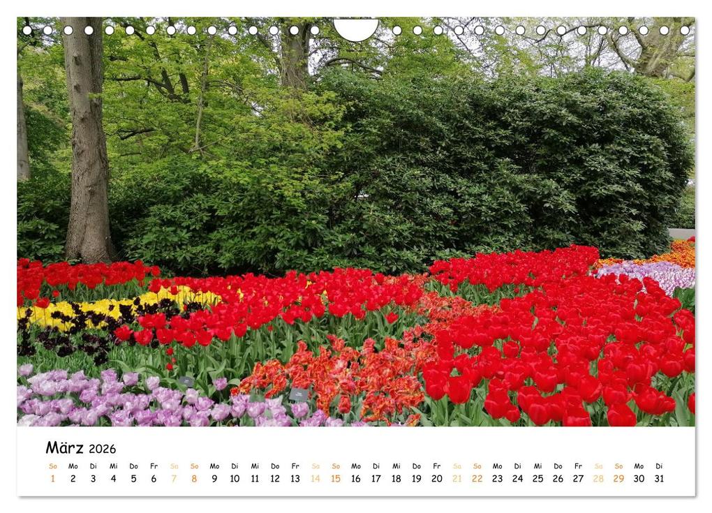 Weitere Ansicht: Auf Tour im Land der Tulpen (Wandkalender 2026 DIN A4 quer), CALVENDO Monatskalender | Sarafina Glockenblume, Calvendo