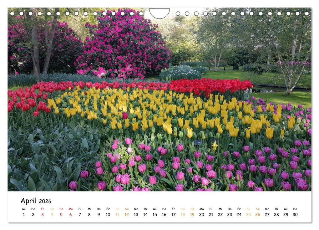 Weitere Ansicht: Auf Tour im Land der Tulpen (Wandkalender 2026 DIN A4 quer), CALVENDO Monatskalender | Sarafina Glockenblume, Calvendo