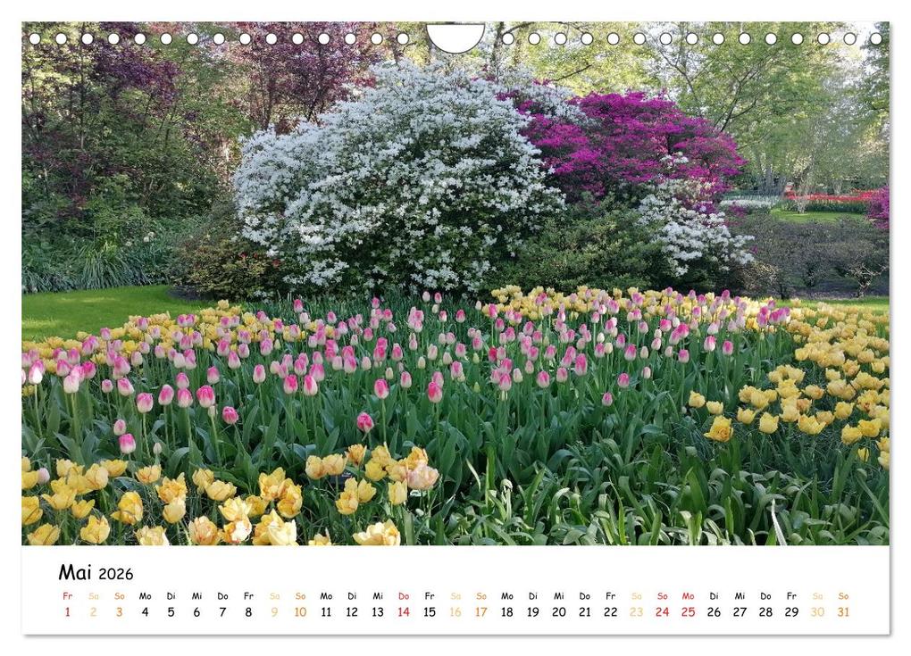 Weitere Ansicht: Auf Tour im Land der Tulpen (Wandkalender 2026 DIN A4 quer), CALVENDO Monatskalender | Sarafina Glockenblume, Calvendo