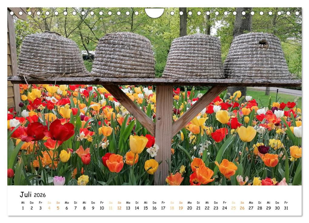 Weitere Ansicht: Auf Tour im Land der Tulpen (Wandkalender 2026 DIN A4 quer), CALVENDO Monatskalender | Sarafina Glockenblume, Calvendo