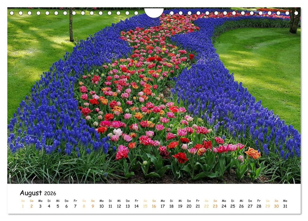 Weitere Ansicht: Auf Tour im Land der Tulpen (Wandkalender 2026 DIN A4 quer), CALVENDO Monatskalender | Sarafina Glockenblume, Calvendo