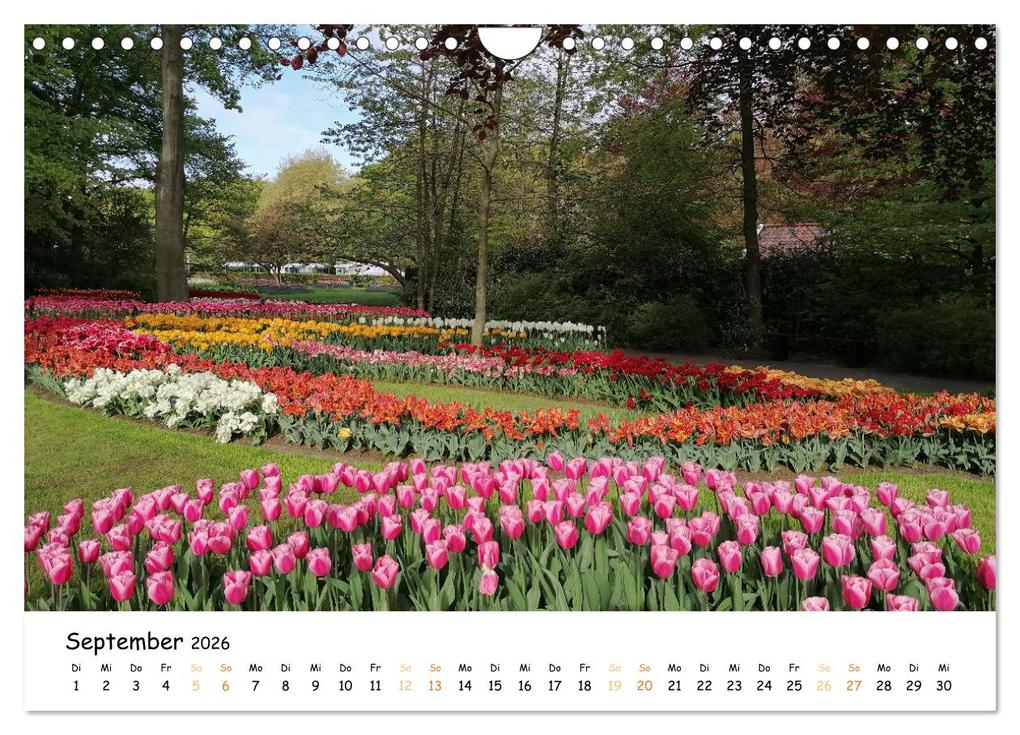 Weitere Ansicht: Auf Tour im Land der Tulpen (Wandkalender 2026 DIN A4 quer), CALVENDO Monatskalender | Sarafina Glockenblume, Calvendo