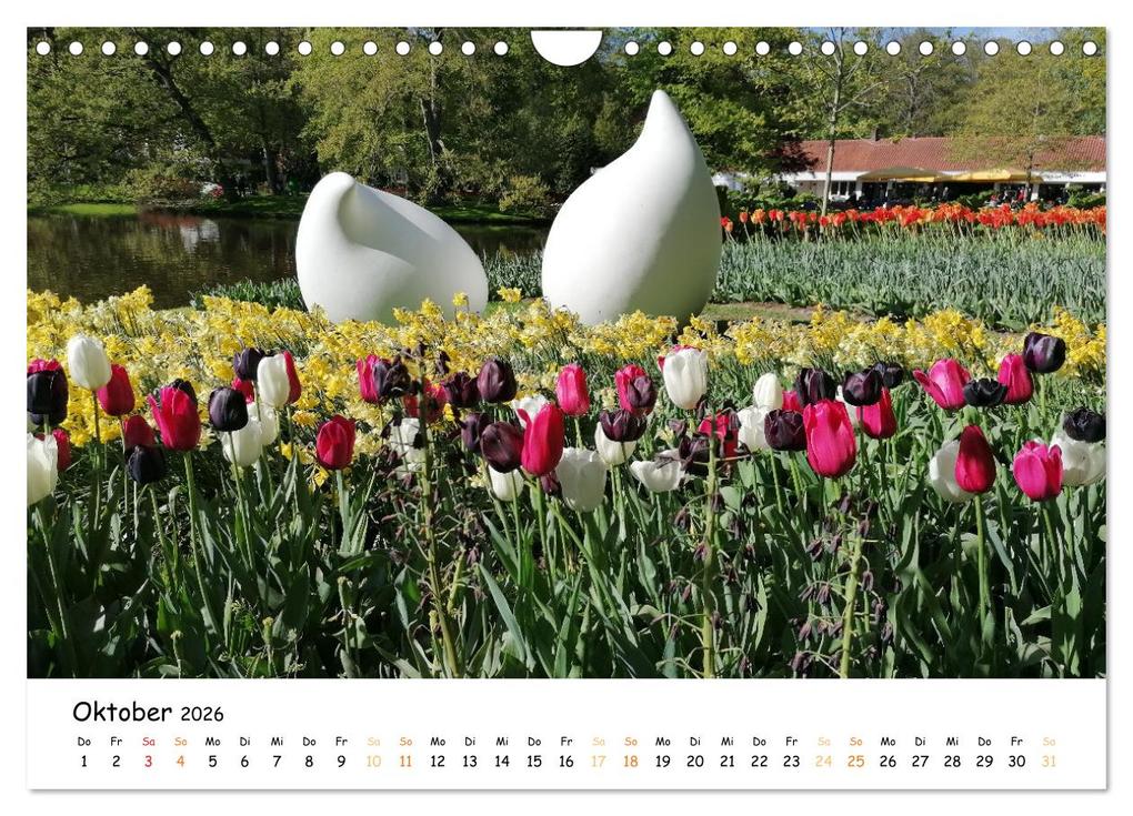 Weitere Ansicht: Auf Tour im Land der Tulpen (Wandkalender 2026 DIN A4 quer), CALVENDO Monatskalender | Sarafina Glockenblume, Calvendo