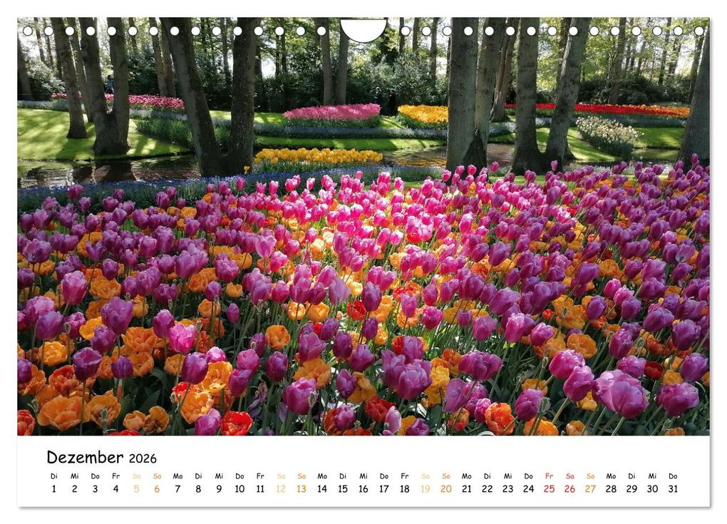 Weitere Ansicht: Auf Tour im Land der Tulpen (Wandkalender 2026 DIN A4 quer), CALVENDO Monatskalender | Sarafina Glockenblume, Calvendo