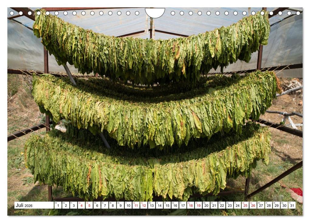 Weitere Ansicht: Nordmazedonien - Streifzüge durch eine nahezu unbekannte Kulturlandschaft (Wandkalender 2026 DIN A4 quer), CALVENDO Monatskalender | Christian Hallweger, Calvendo