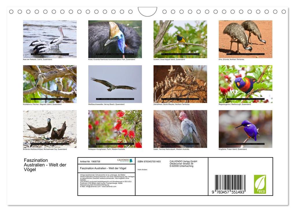 Weitere Ansicht: Faszination Australien - Welt der Vögel (Wandkalender 2026 DIN A4 quer), CALVENDO Monatskalender | Holm Anders, Calvendo